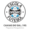 gremio